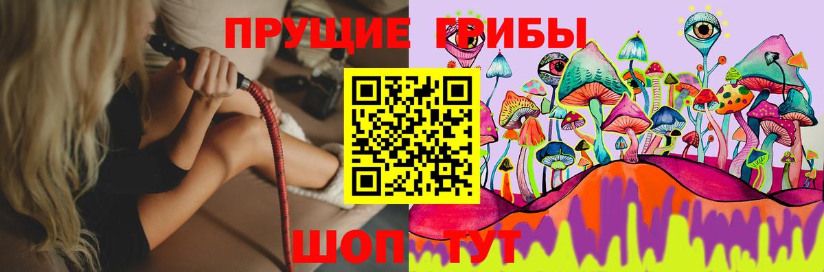 Псилоцибиновые грибы Psilocybe Обь
