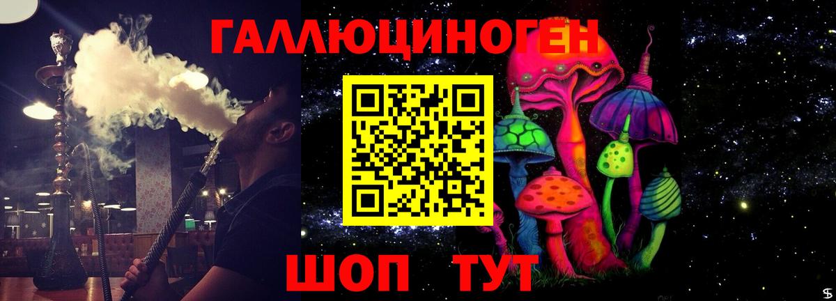 Галлюциногенные грибы Psilocybe  Вход с VPN  Обь 